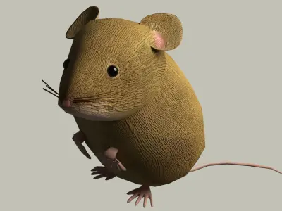 European Field Mouse Free low-poly 3D model