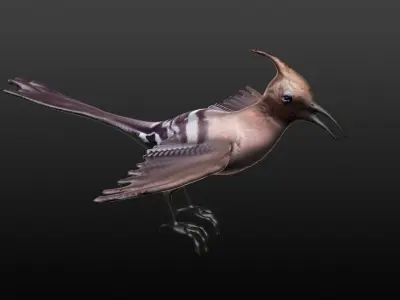 hoopie bird 3D model