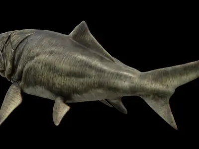 Dunkleosteus Prehistoric Fish Low-poly 3D model