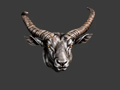 Bull Animal Head Low-poly 3D model