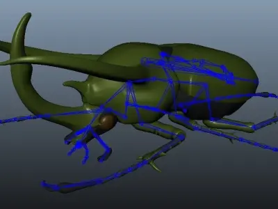 Chalcosoma Atlas Beetle with wings rigged not-textured 3D model