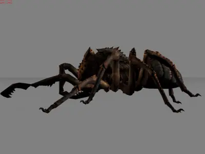 Spider I Animal Low-poly 3D model
