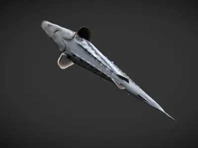 Shark fish with spikes Low-poly 3D model