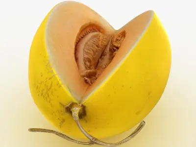 Golden&nbsp;Cantaloupe Cut 3D model