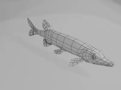 Freshwater fish pack Low-poly 3D model