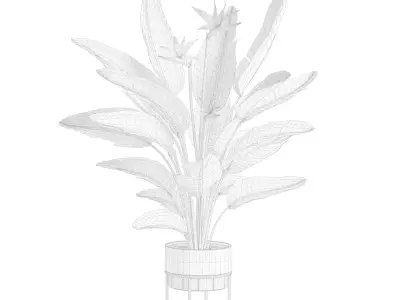 Indoor Plants Pack 103 3D model