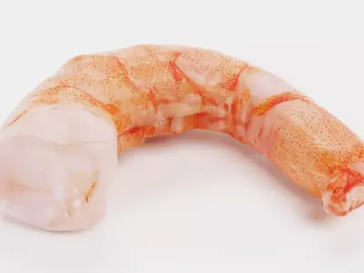 Shrimp Bite - Realistic Cooked Seafood Piece 3D model