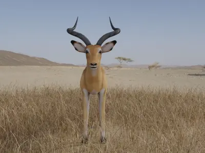 Gazelle antelope Low-poly 3D model