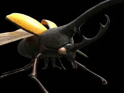 Hercules Beetle Low-poly 3D model