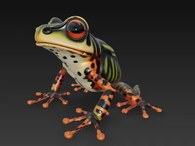 Frog Poisonous Realistic 3D Model Basic - Low Poly Realistic Low-poly 3D model