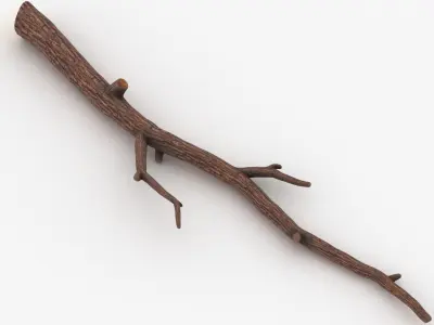 Branch 05 3D model