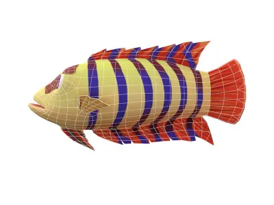Ornate Climbing Perch Fish Animated Low-poly 3D model