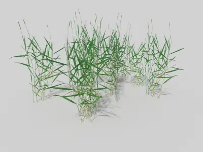 grass pack Low-poly 3D model