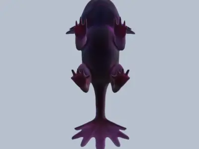 Axolotl 3D model