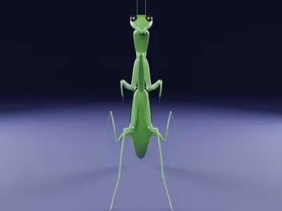 Mantis low poly 3D model for 3D print Low-poly 3D model