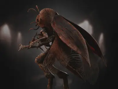 Insectoid Creature Low-poly 3D model