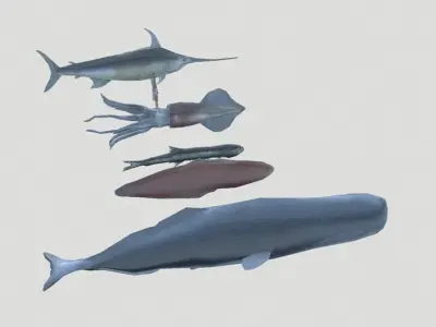 Sea Fish Low-poly 3D model