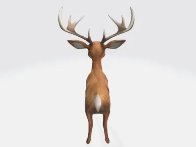 deeer 3D model