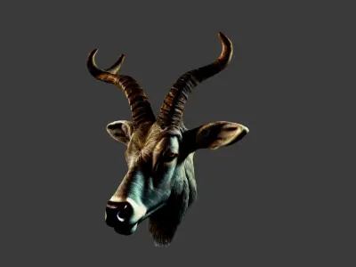 Deer Animal Head Low-poly 3D model