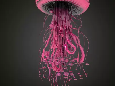 Pink  jellyfish 3D model