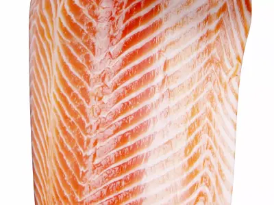 Salmon Filet 3D model