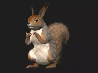 Squirrel A3 Free 3D model