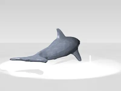 Dolphin Low Poligonal 3D model