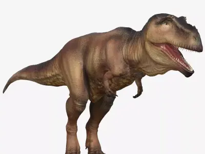 Giganotosaurus tyrannosaurus Low-poly 3D model