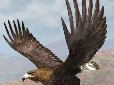 Golden Eagle - rigged - animated standard PBR VRAY 3D model