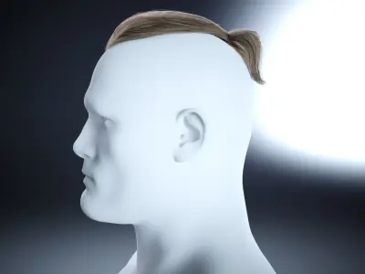 Low poly Ponytail Haircard Low-poly 3D model