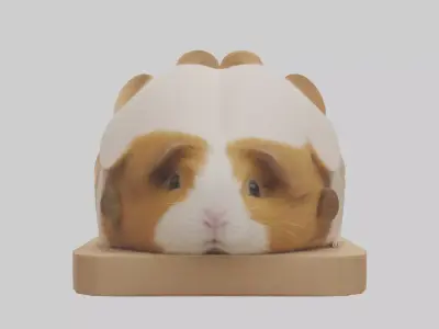 Guinea Pig hiding model Low-poly 3D model