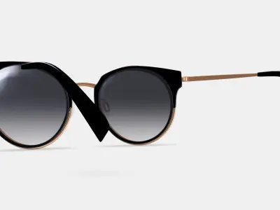 Cleo Sunglasses in Jet Black with Rose Gold 3D model