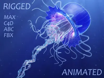 Jellyfish Realistic rigged animated 3D model