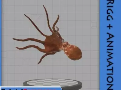 Octopus 3D model