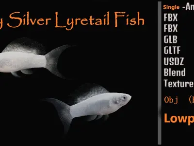 Molly Silver Lyretail Fish Low-poly 3D model