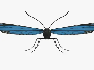 Butterfly Low-poly 3D model