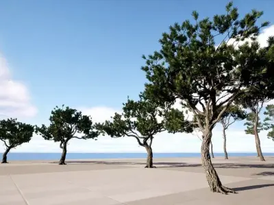 Trees Pack Free low-poly 3D model