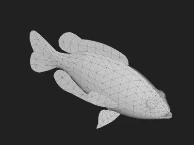 Rockbass fish Low-poly 3D model