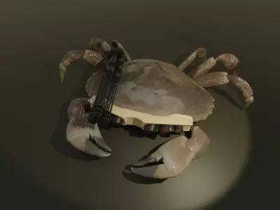 Cyber Crab 3D model
