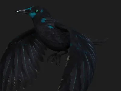 Raven A2 3D model