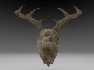 Deer Skull Low Poly 3D Model with Imperfections Free low-poly 3D model