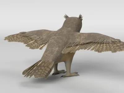 Cartoon Great Horned Owl 3D model