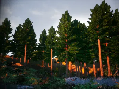 Japanese Endemic Species Plant - 4 Japanese false cypress Tree Low-poly 3D model