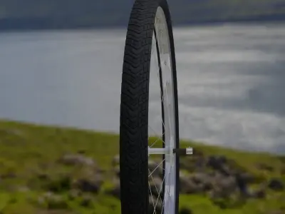 Bycycle Wheel 3D Model Free low-poly 3D model