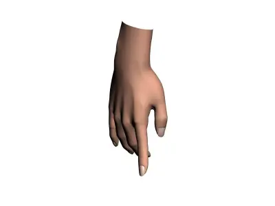 Female hand 001 3D model
