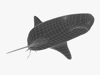 Tiger Shark Low-poly 3D model