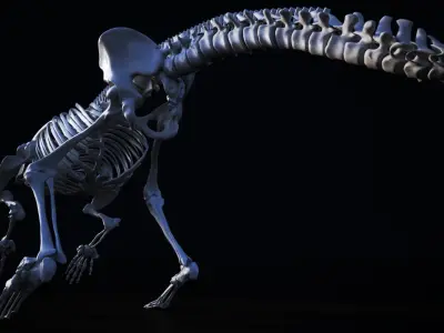 Dinosaur bone 3D model 3D model