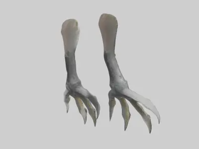 Falcon Talons Low-poly 3D model