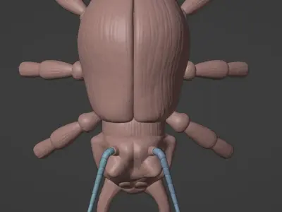 Click Clack DKC 2 Free 3D print model