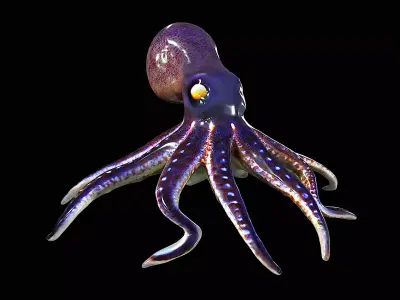 Awesome Squid 3D model